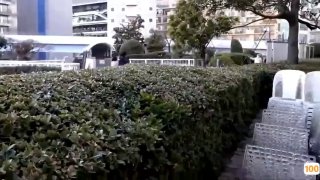 美国白宫旅游自拍照🔞⭕❌⭕❌经典日本情色电影